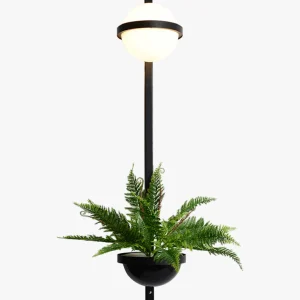 Applique Murale Globe Végétal