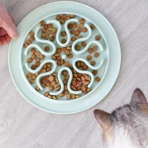 Gamelle Anti-Glouton pour chat- INOOKO