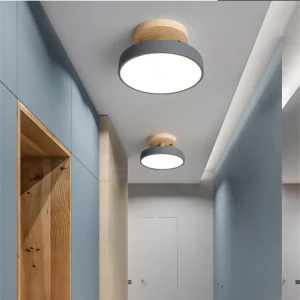Plafonnier LED Coloré - Éclat Moderne