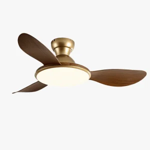 Plafonnier Ventilateur Silésia