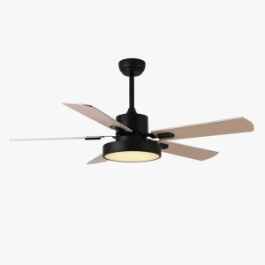 Ventilateur de Plafond Moderne à 5 Pales