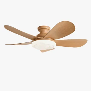 Ventilateur de Plafond Aramis