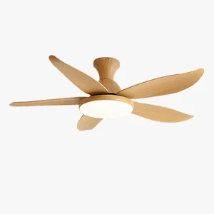 Ventilateur de Plafond Hélice XL