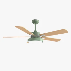 Ventilateur de plafond 5 pales en bois-Borealis™
