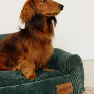 Canapé panier chiens - Milou pets