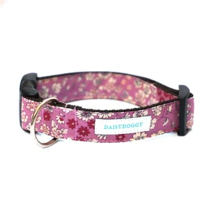 Colliers pour chiens - Daisy Doggy