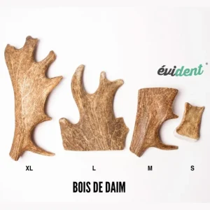 Bois de daim pour chien - Weltcroc Evident