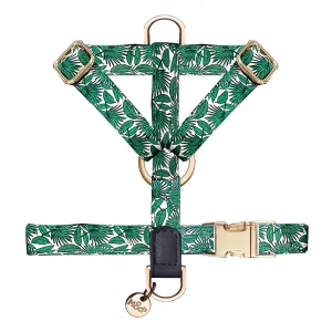 Harnais H chiens MARISA - Milk and Pepper