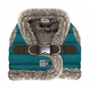 Harnais pour chiens - Collection DAMON - automne hiver 2025