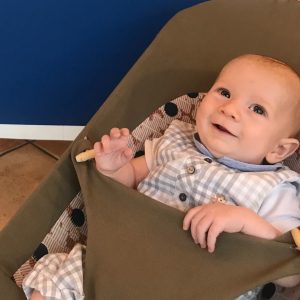 Housse pour transat Babybjorn