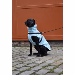 Manteau imperméable néoprène Tom Chiens - Bobby