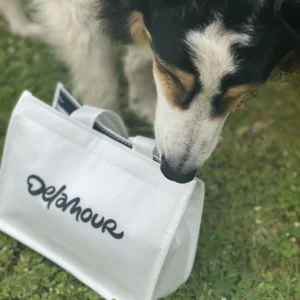 Sac isotherme Glaces Delamour pour chiens