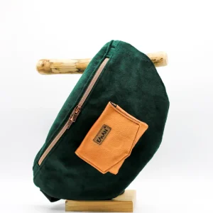 Ensemble Banane velours vert - pochette friandise chien Eki